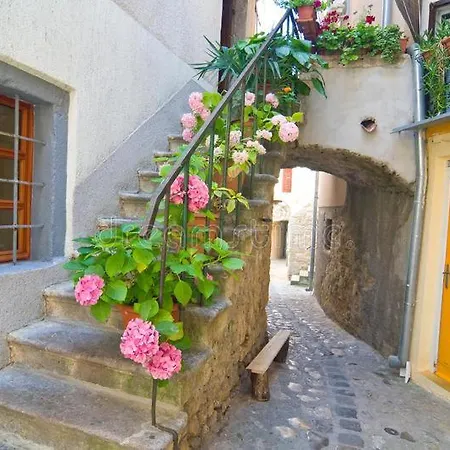 Alfa Baška