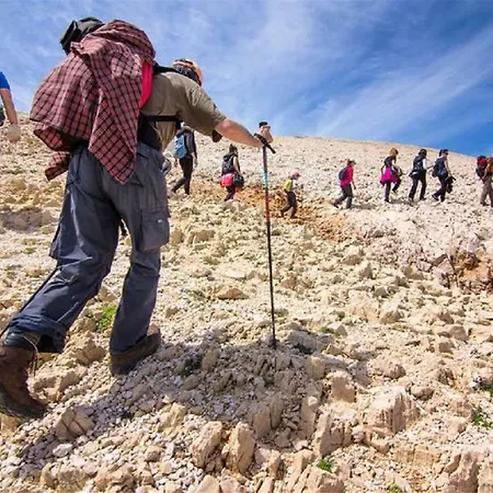 Alfa Апартаменты Башка